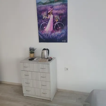 בית הארחה Guest 5 Zdrave 3*