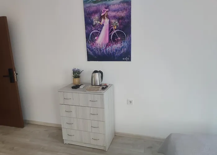 ゲストハウス Guest 5 Zdrave 3*